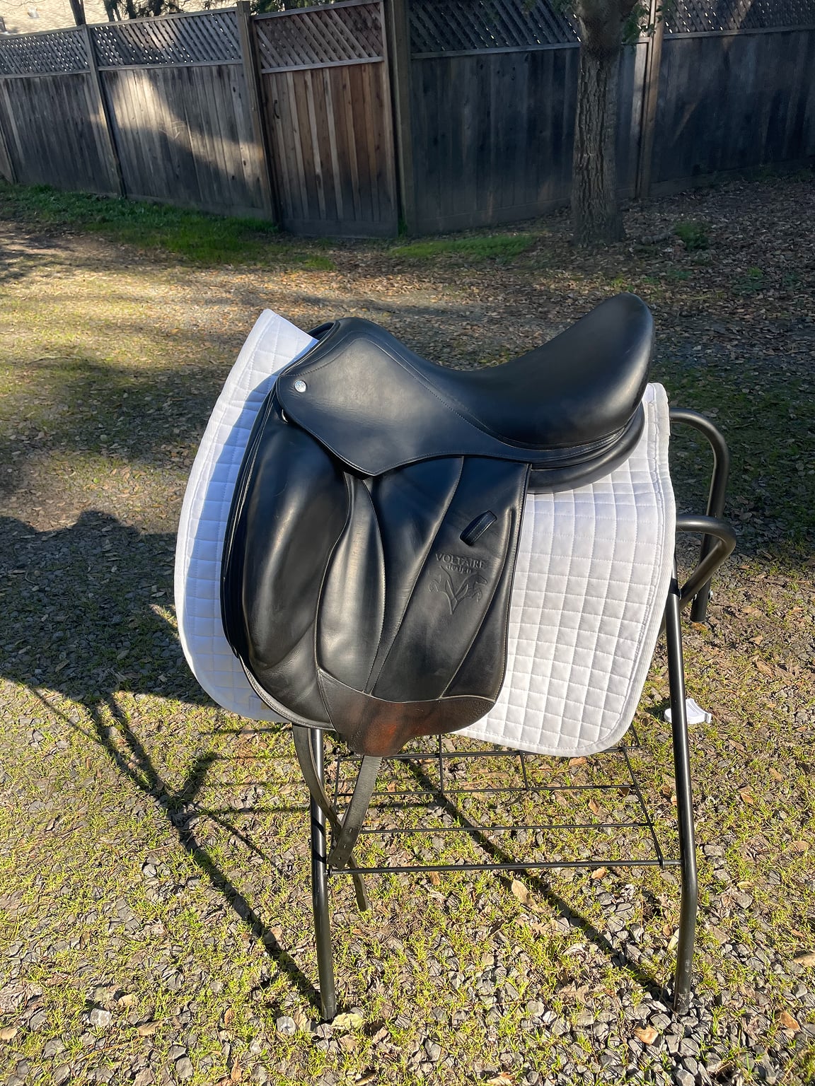 Voltaire Adelaide Dressage